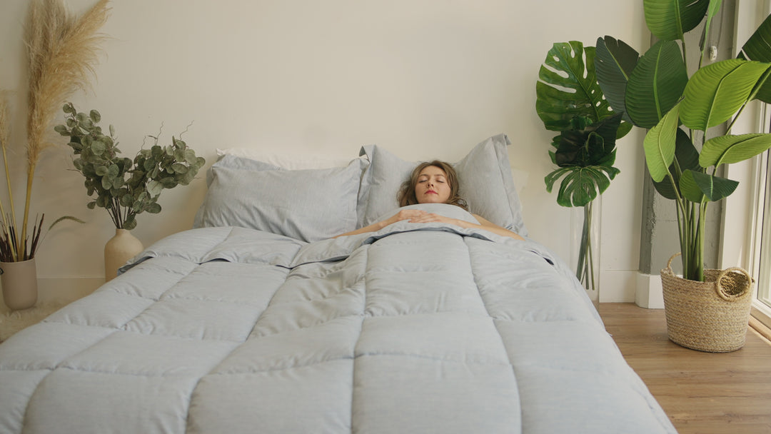 SERENITY SERIES 3 PIECE CATIONIC JACQUARD DOWN ALTERNATIVE COMFORTER SET